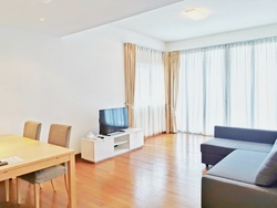 Cairnhill Crest (D9), Condominium #236827041